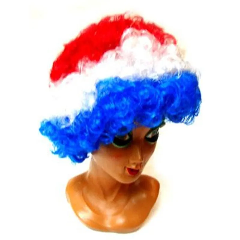 Afro Wig France Costume Accessory and Fan Accessory
